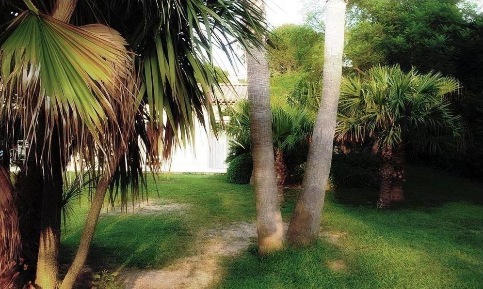 אנטיב Villa Aloha מראה חיצוני תמונה